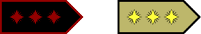 Image:Капитан космофлота Ремарка.png